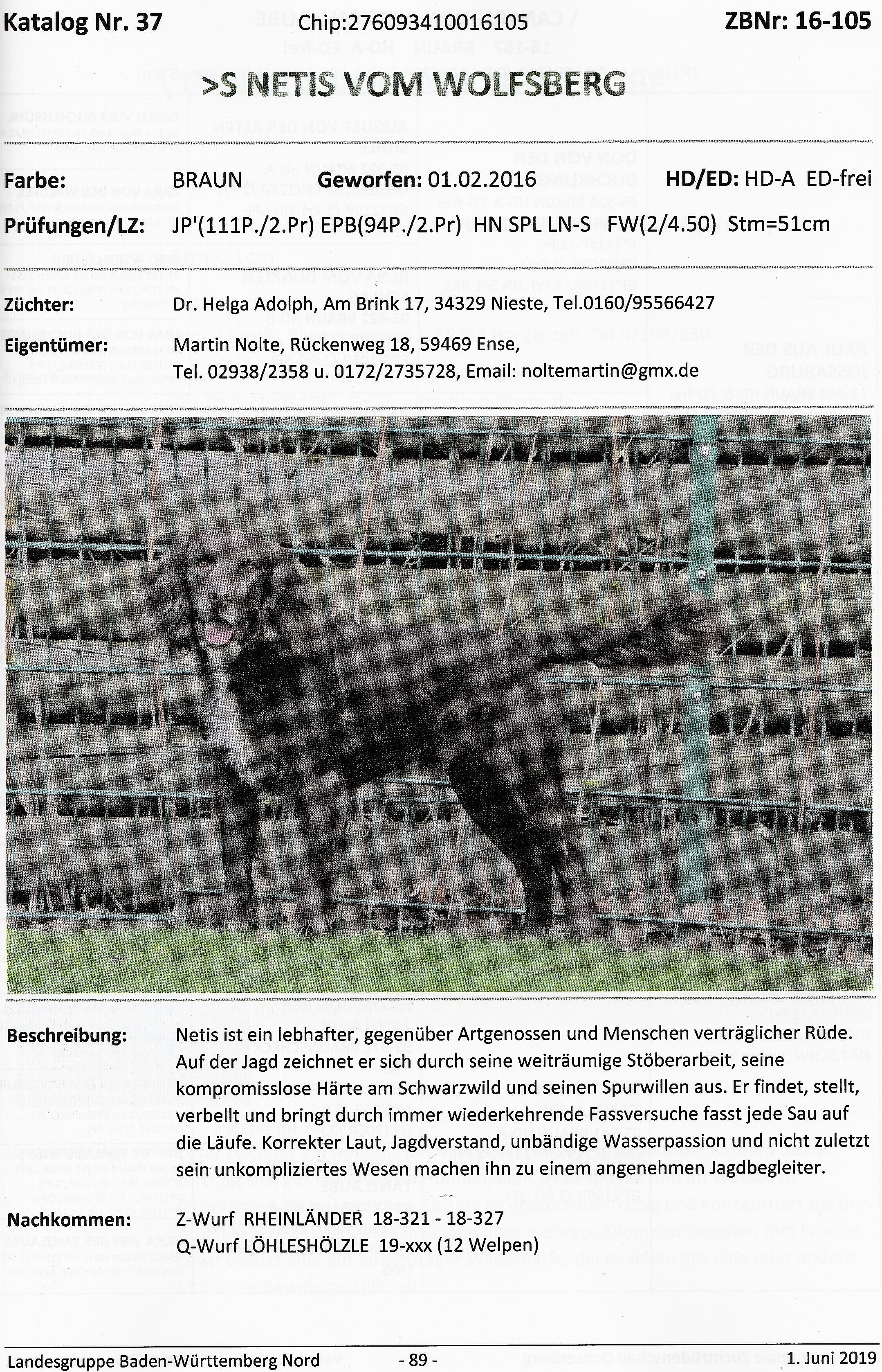 Netis vom Wolfsberg 1. Juni 2019