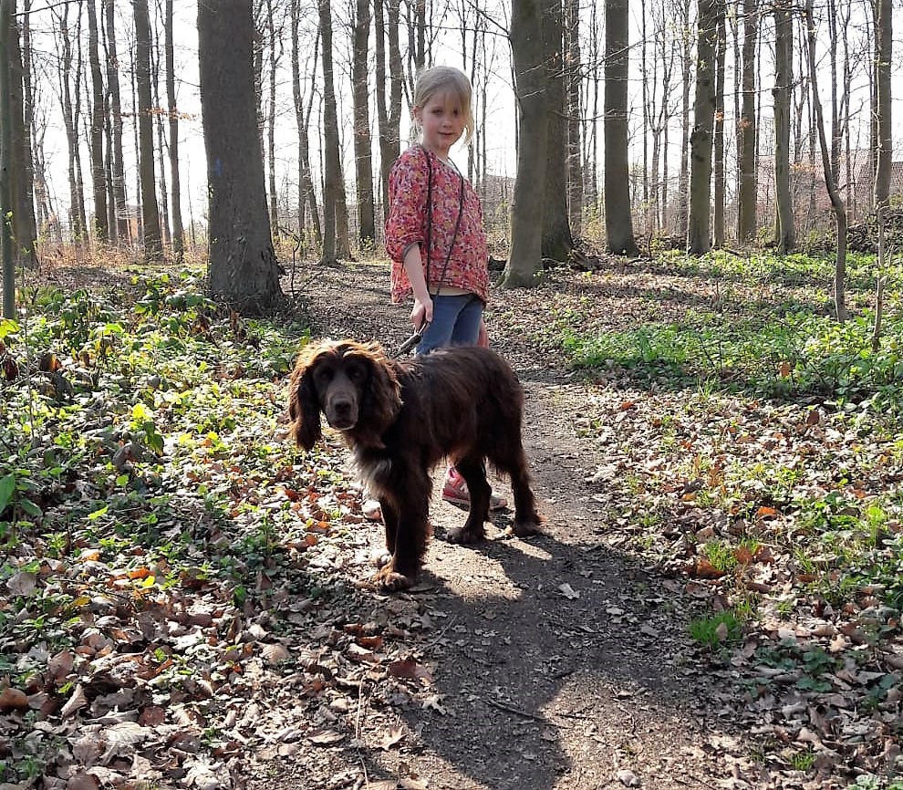 Hedda mit Quinta im Wald